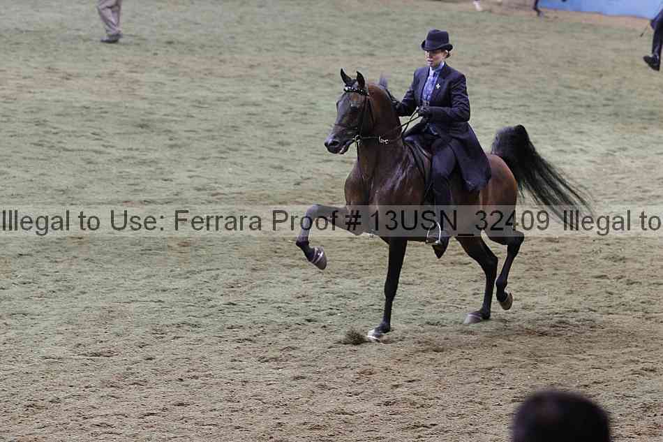 Proof 13usn_32409
