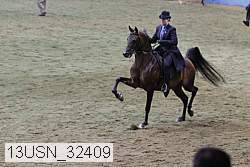 13usn_32409 proof