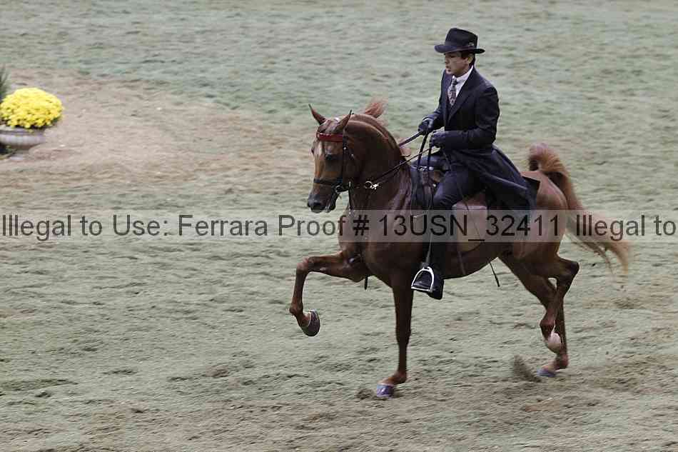 Proof 13usn_32411