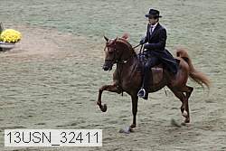 13usn_32411 proof