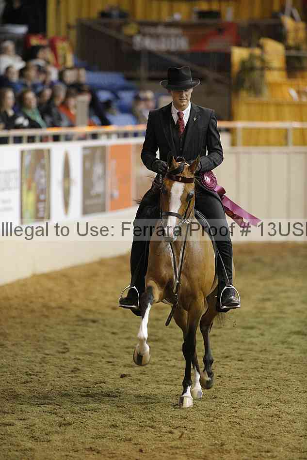 Proof 13usn_32439