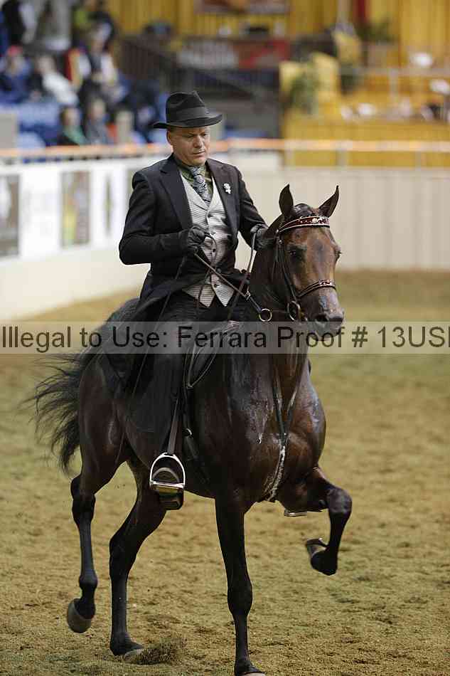 Proof 13usn_32493