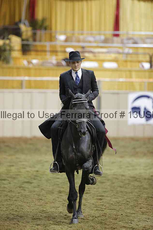 Proof 13usn_32498