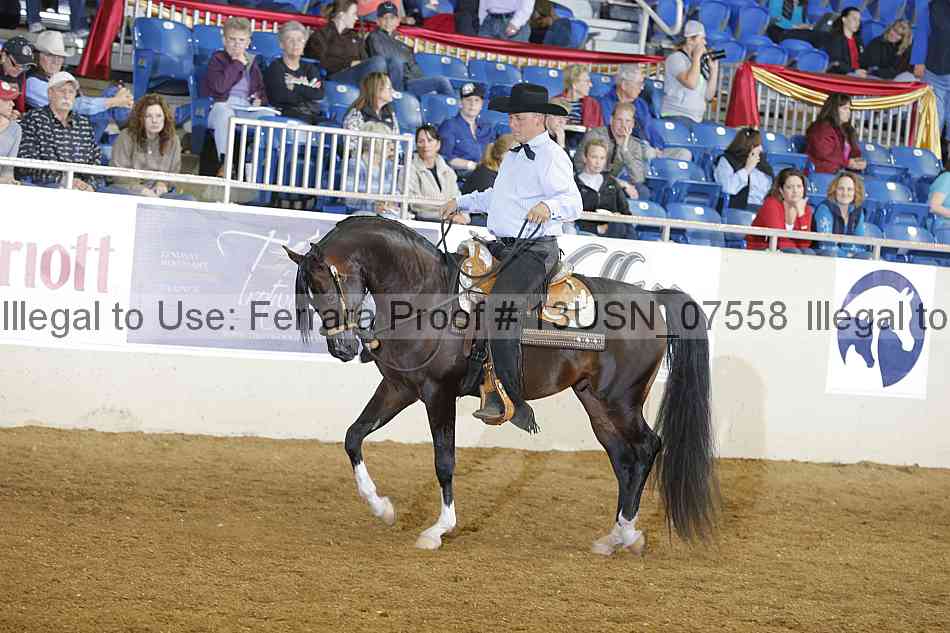 Proof 13usn_07558