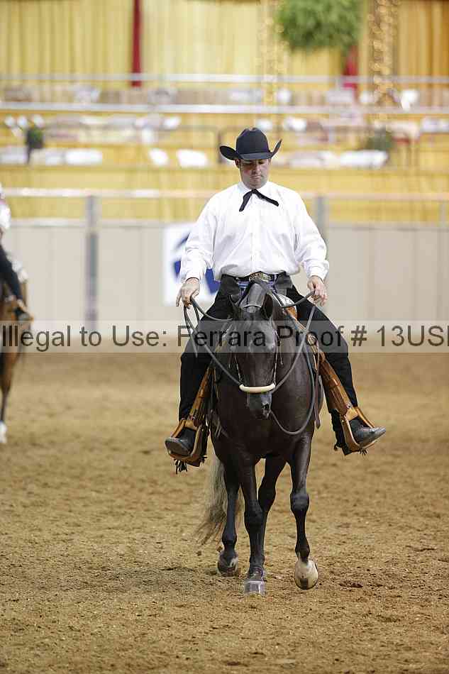 Proof 13usn_07575