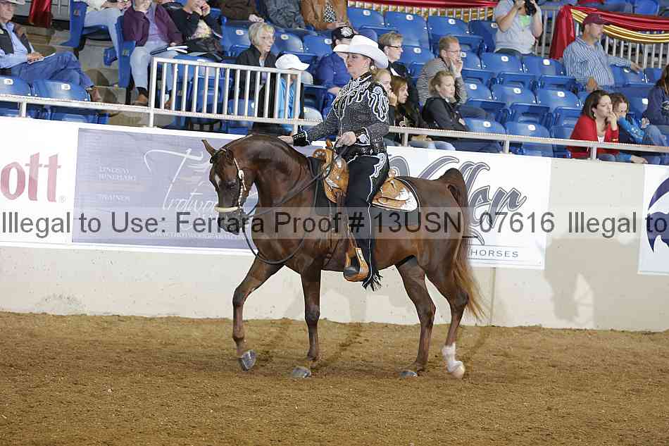Proof 13usn_07616