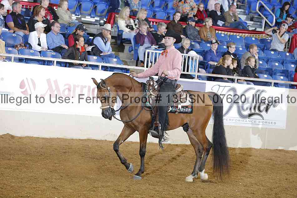 Proof 13usn_07620
