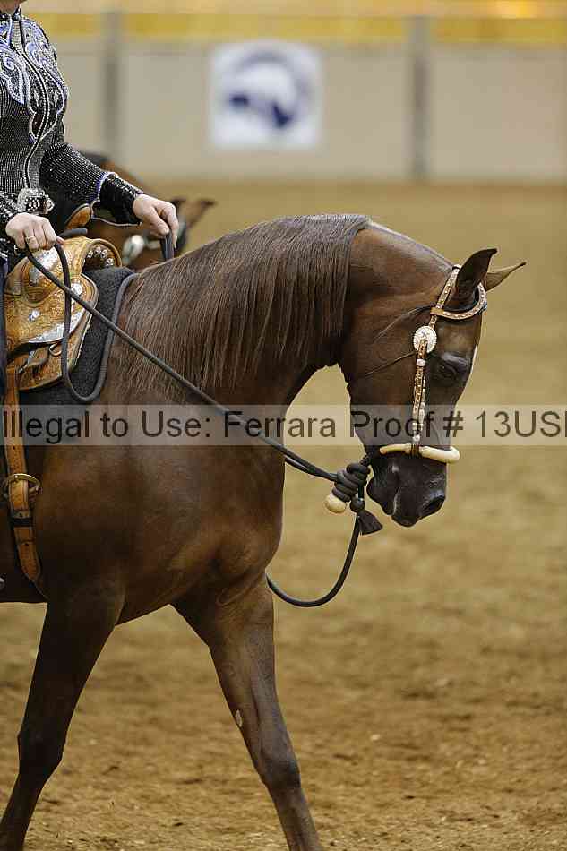 Proof 13usn_07637