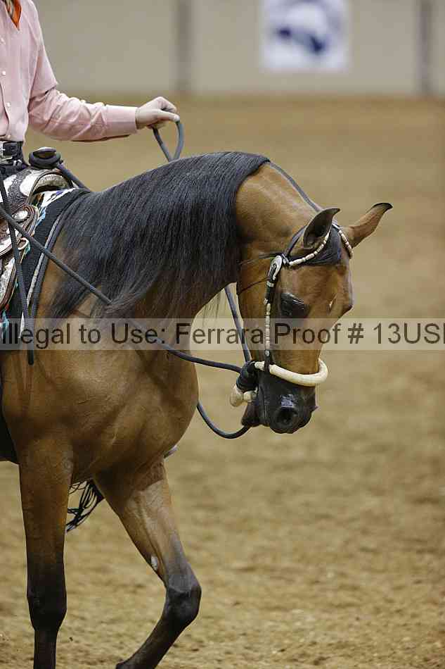 Proof 13usn_07657