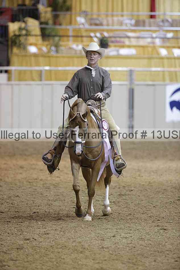 Proof 13usn_07666