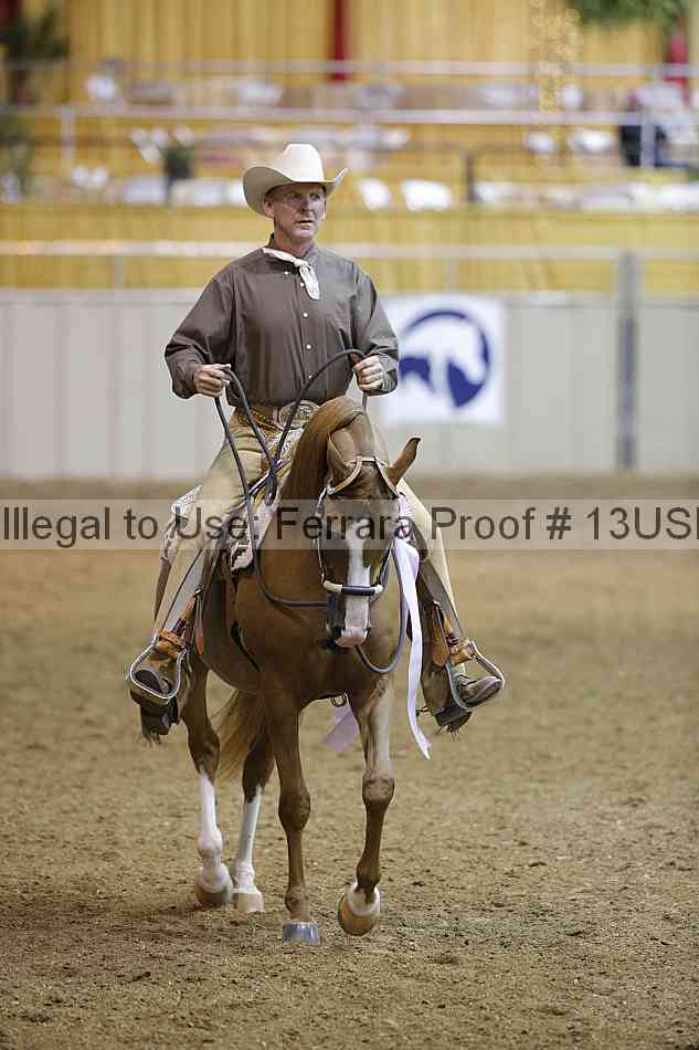 Proof 13usn_07667