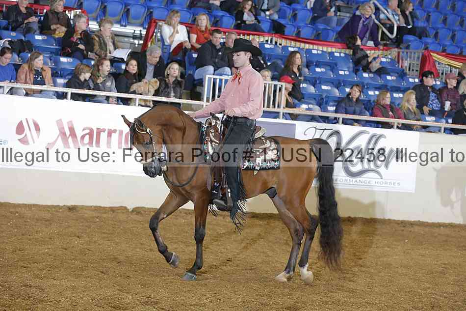 Proof 13usn_22458