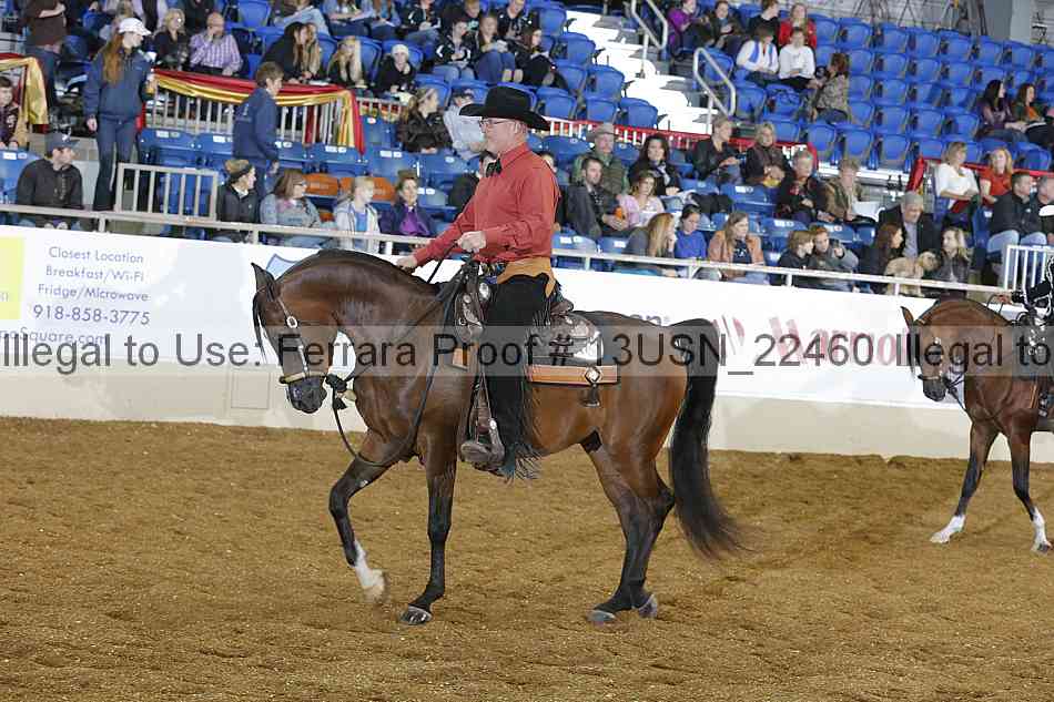 Proof 13usn_22460