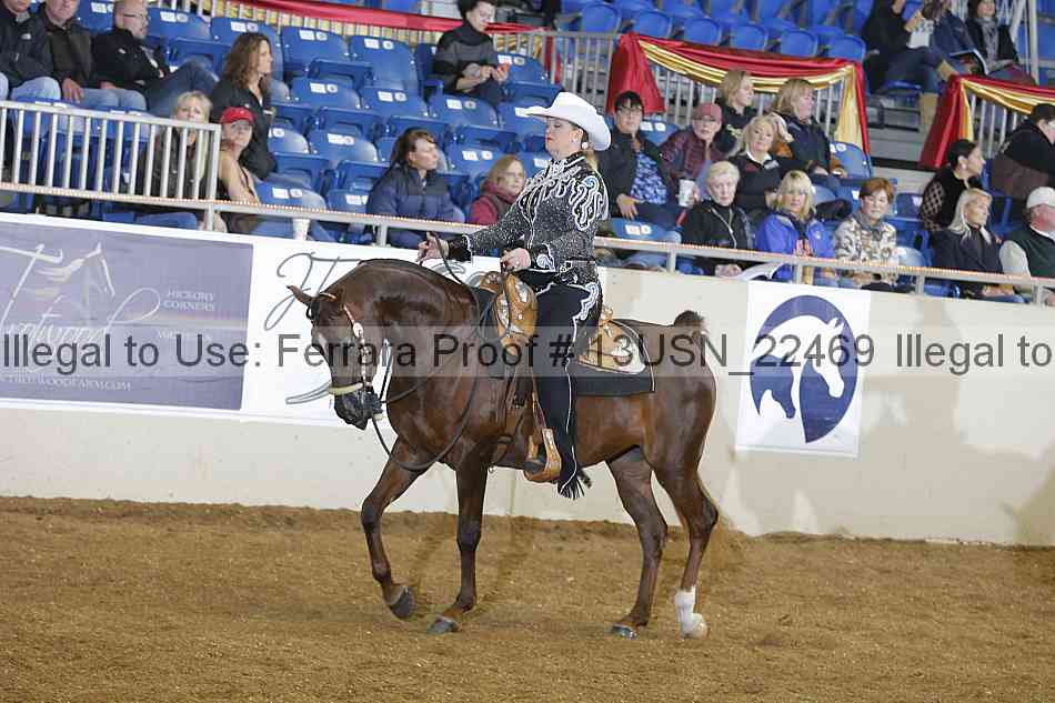 Proof 13usn_22469
