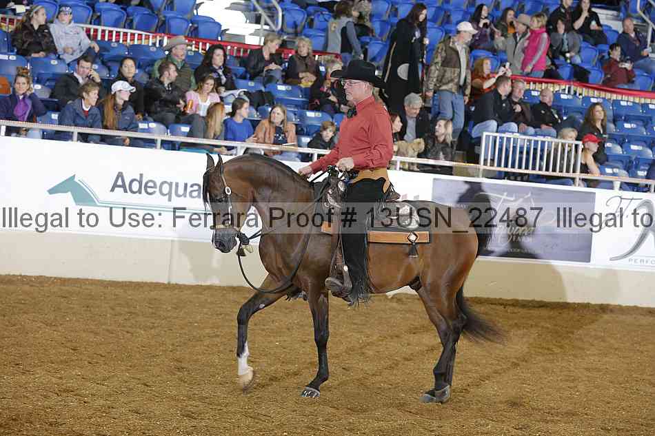 Proof 13usn_22487