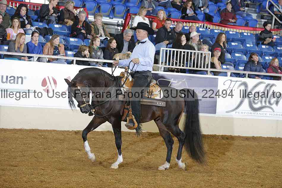Proof 13usn_22494