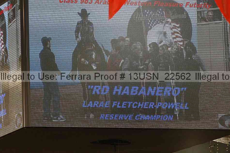 Proof 13usn_22562