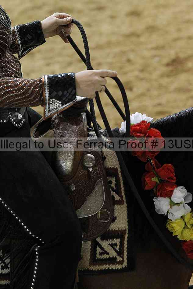 Proof 13usn_22578