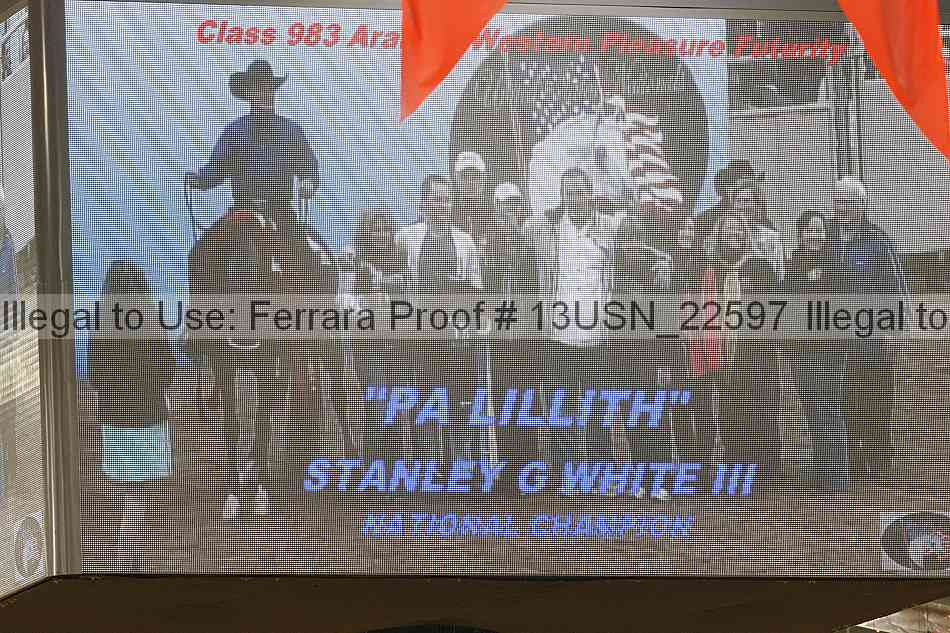 Proof 13usn_22597