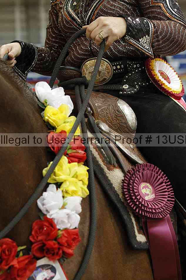 Proof 13usn_22671