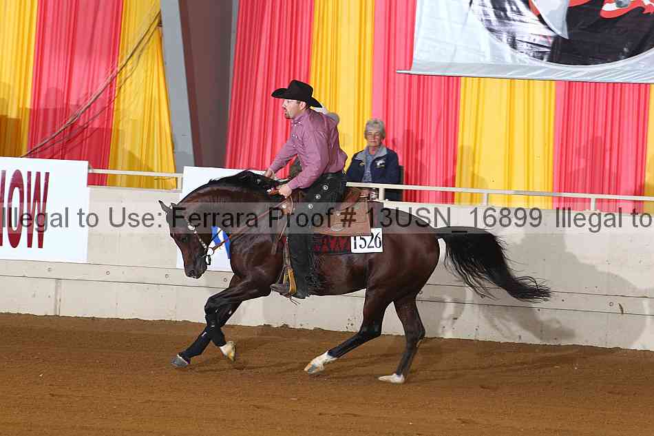 Proof 13usn_16899