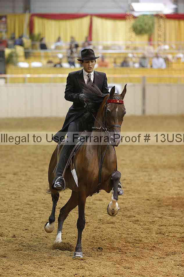 Proof 13usn_24828