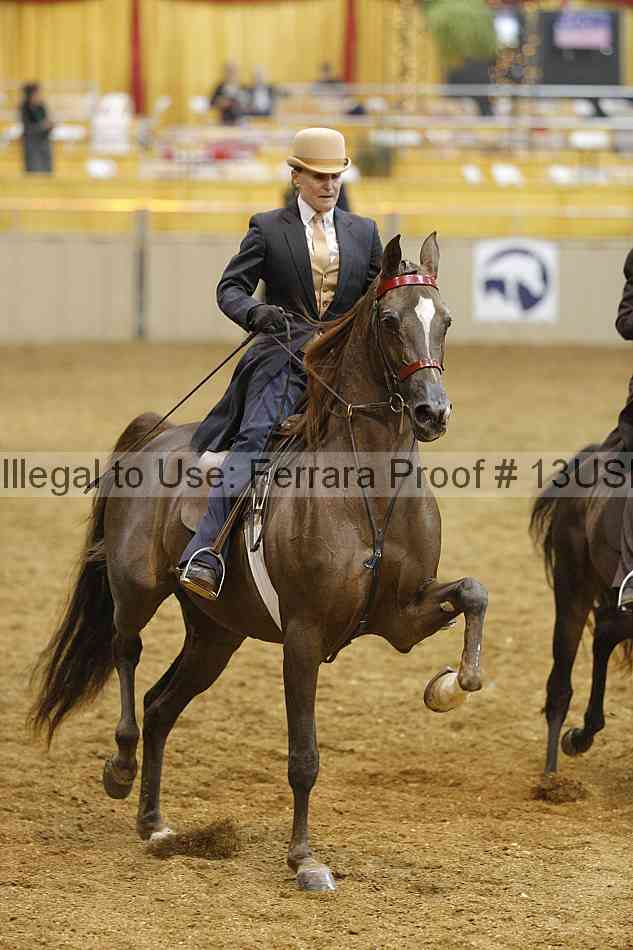 Proof 13usn_24836
