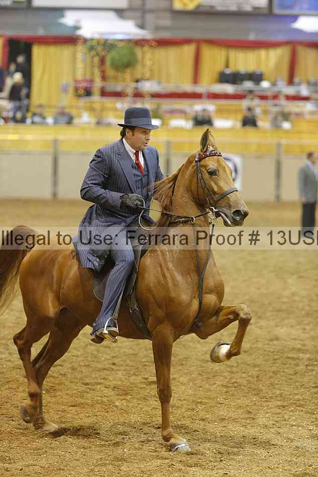 Proof 13usn_24843
