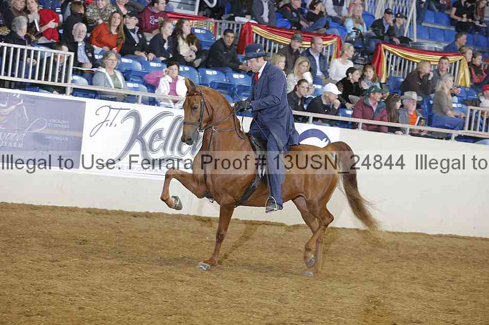 Proof 13usn_24844
