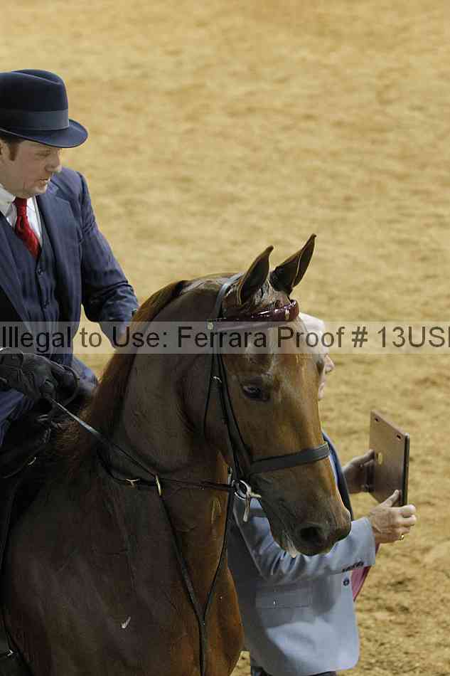 Proof 13usn_24895