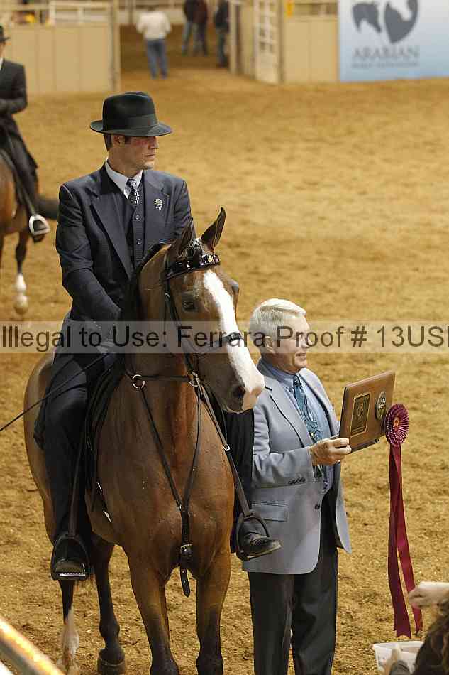 Proof 13usn_24900