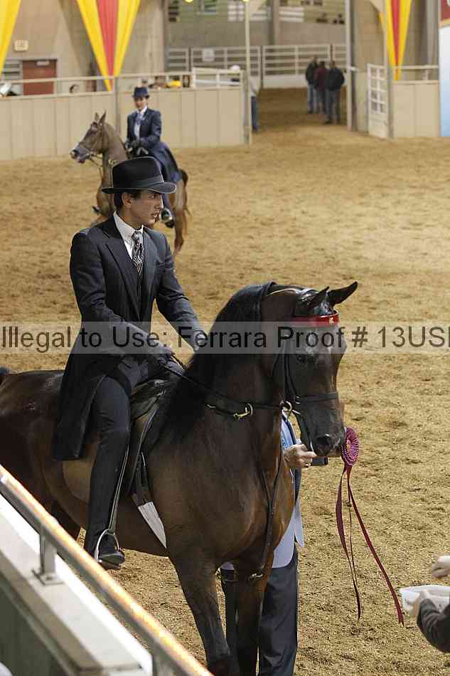 Proof 13usn_24904