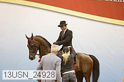 13usn_24928 proof