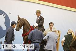 13usn_24954 proof