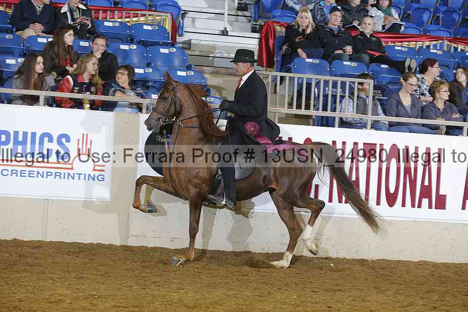 Proof 13usn_24980