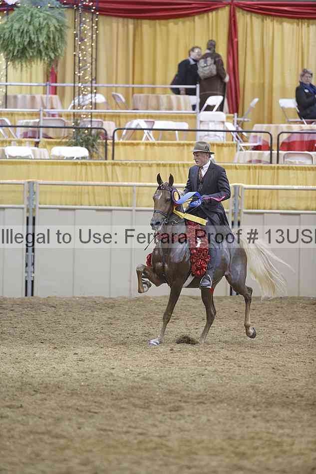 Proof 13usn_25011