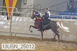 13usn_25012 proof