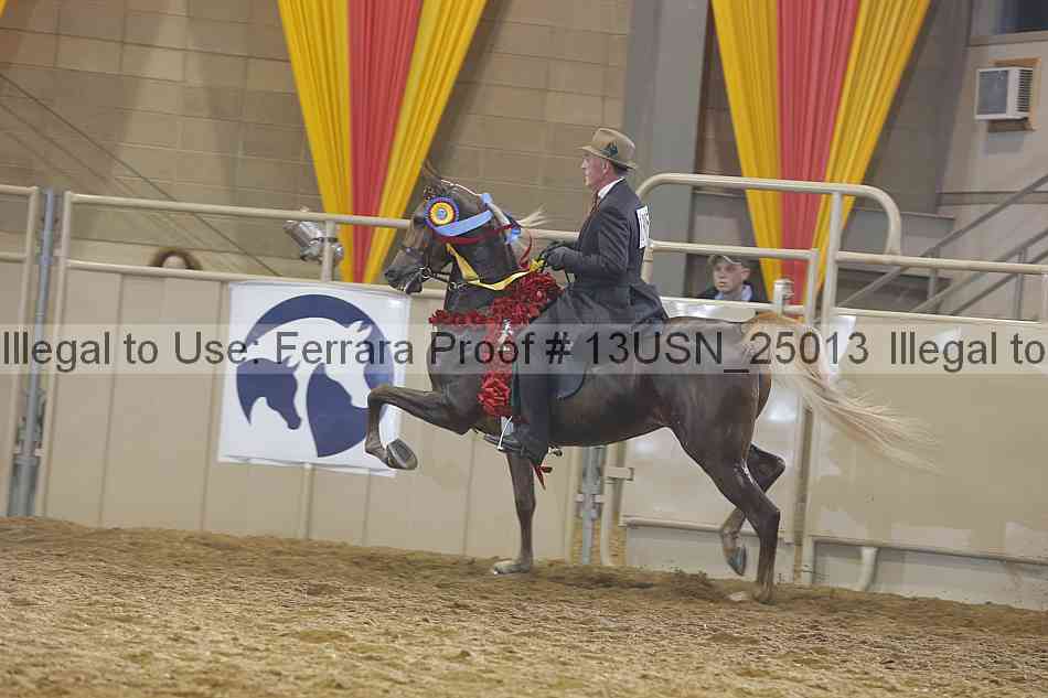 Proof 13usn_25013