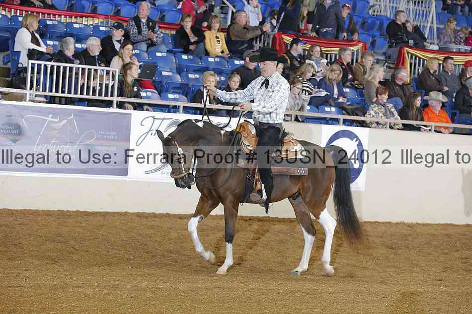 Proof 13usn_24012