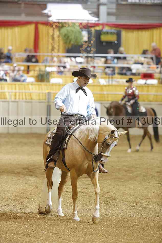 Proof 13usn_24024