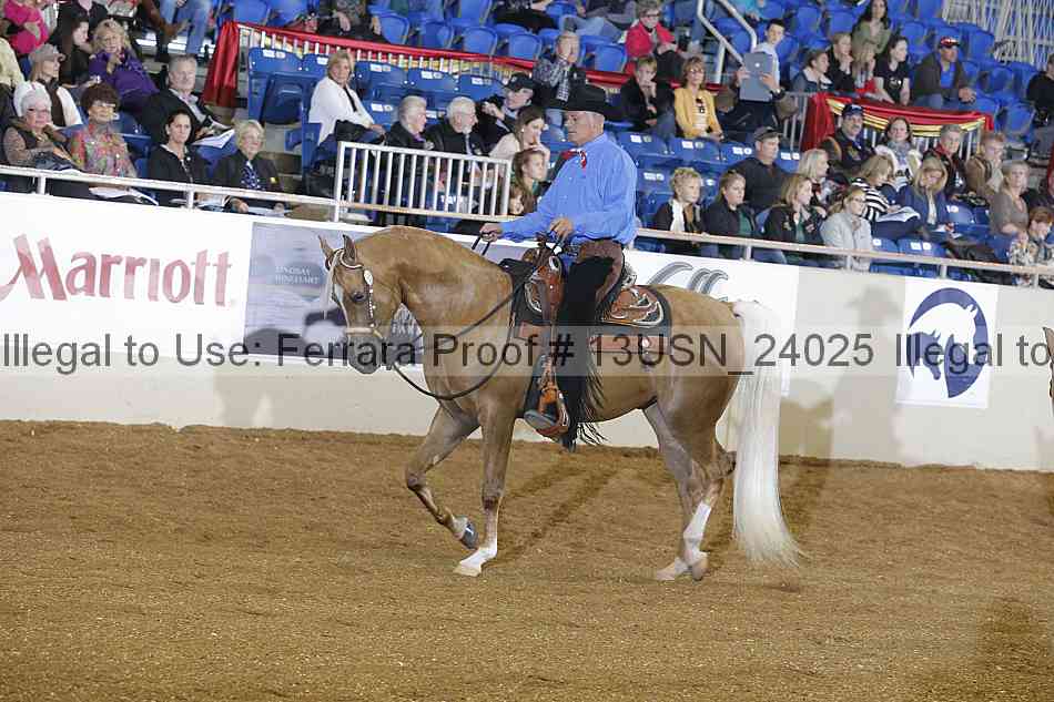 Proof 13usn_24025