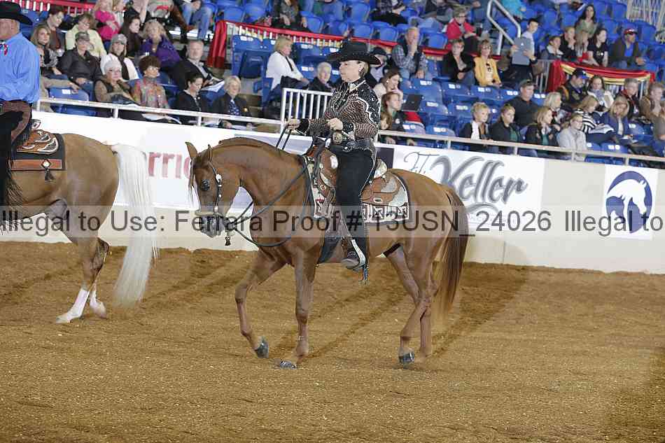 Proof 13usn_24026