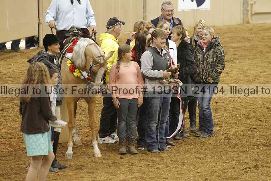 Proof 13usn_24104