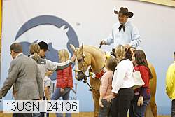 13usn_24106 proof