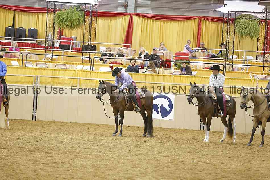 Proof 13usn_24113