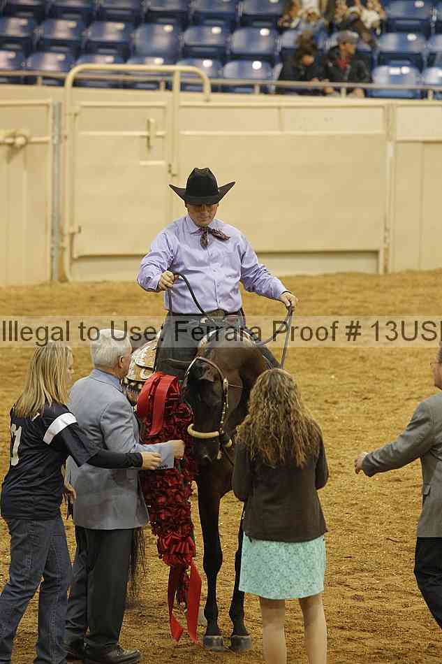 Proof 13usn_24127