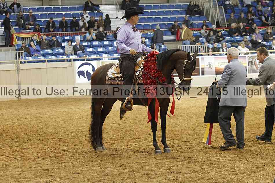 Proof 13usn_24135