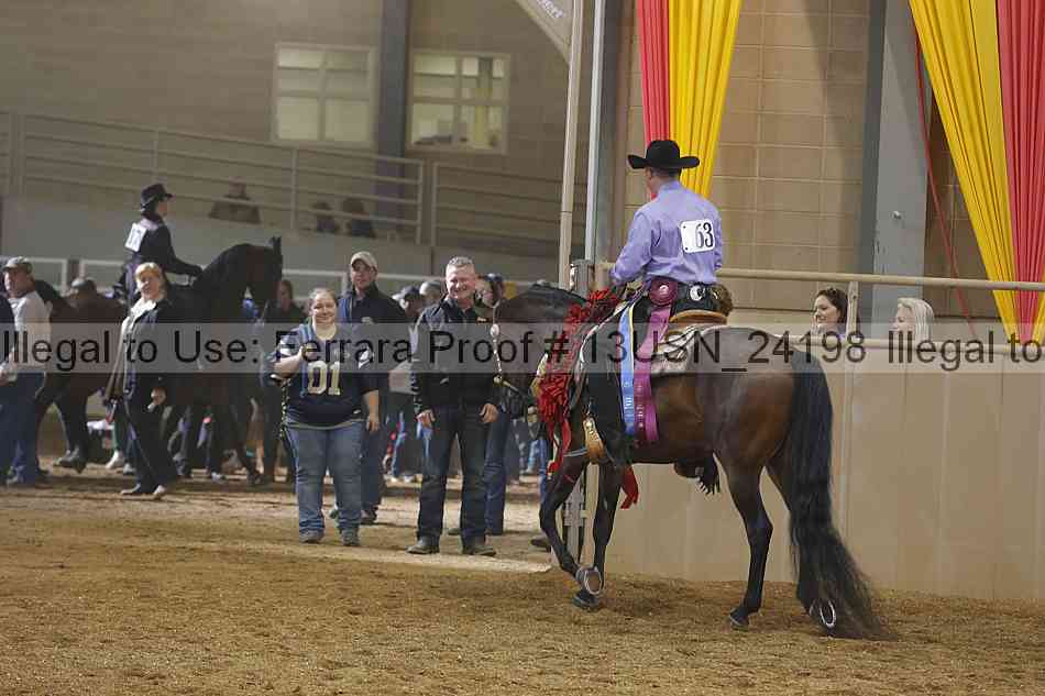 Proof 13usn_24198
