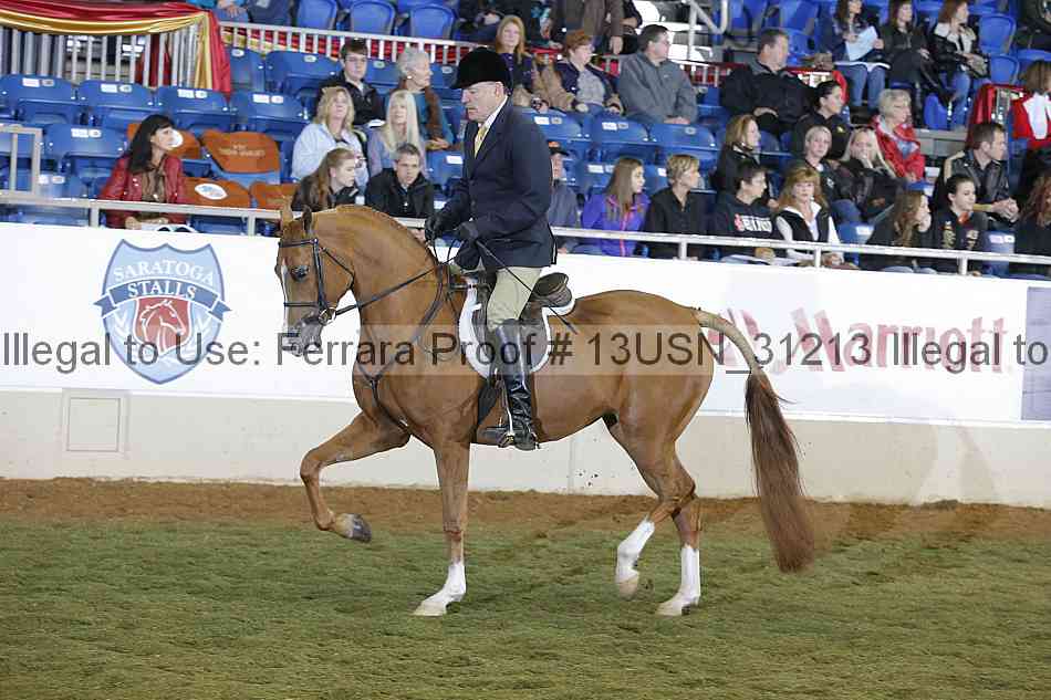 Proof 13usn_31213