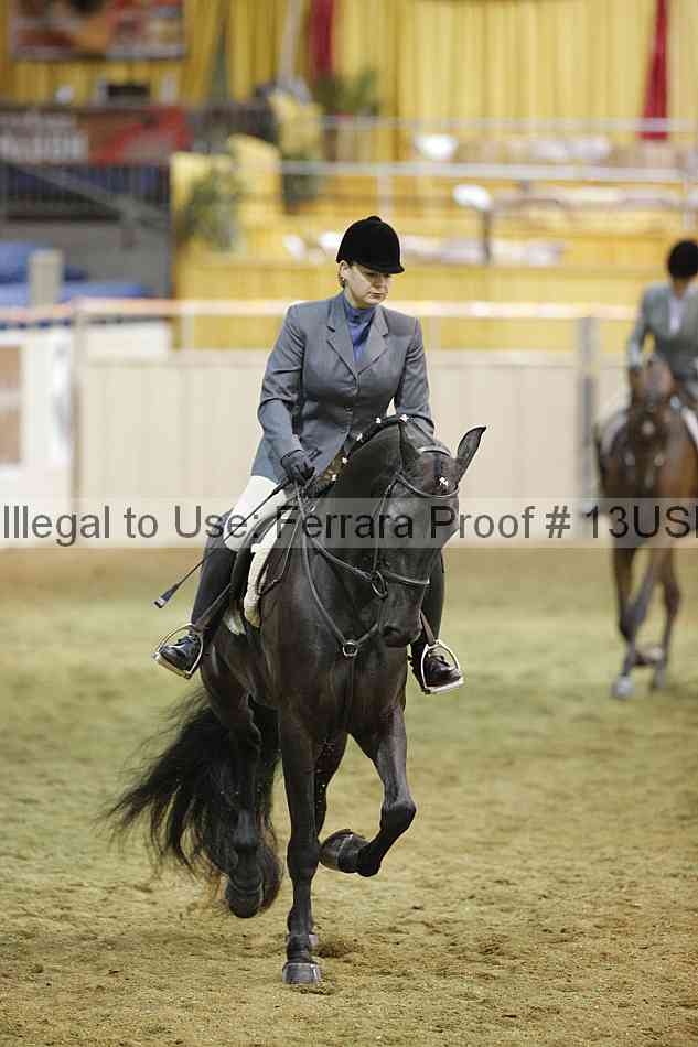 Proof 13usn_31232